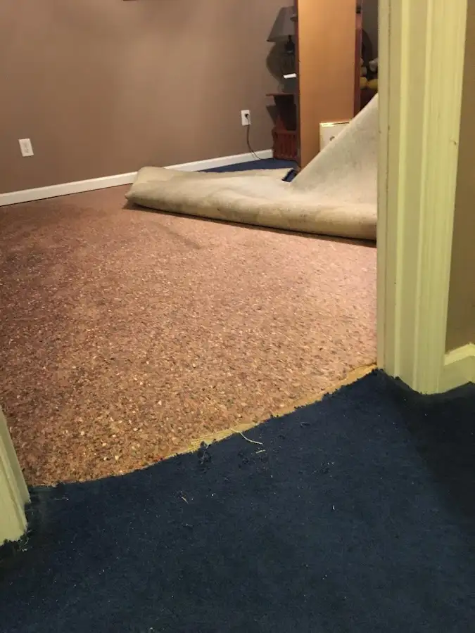 Carpet pad removal revealing water damage during Water Mitigation Services in West Falls Church