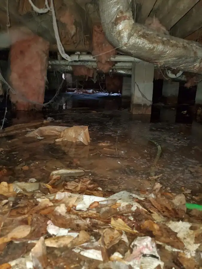 Crawl space flood assessment for Commercial Water Damage Restoration in West Falls Church