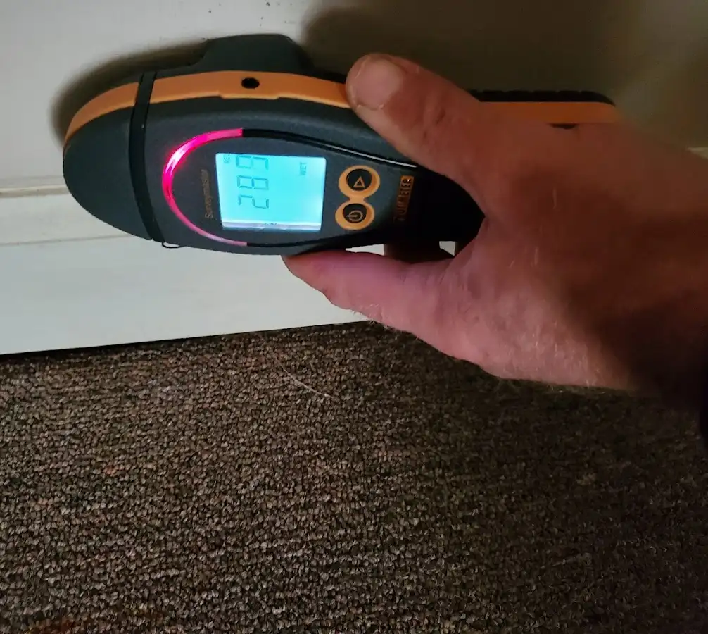 Moisture detection at baseboard during Mold Inspection & Testing in West Falls Church